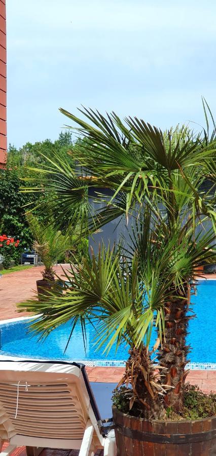 Apartament Cacao Residence Sunny Beach Exterior photo